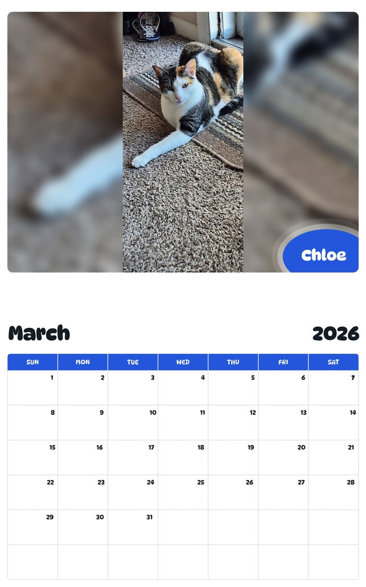 November 2025 - October 2026 Chloe - Pawidols Pet Calendar