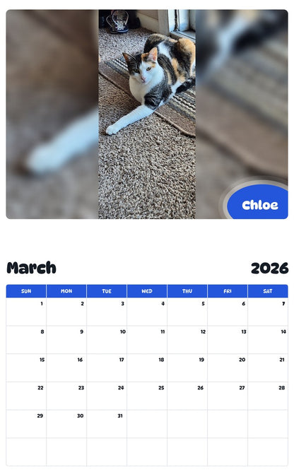 November 2025 - October 2026 Chloe - Pawidols Pet Calendar