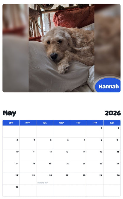 2026 - 2027 Hannah - Pawidols Pet Calendar