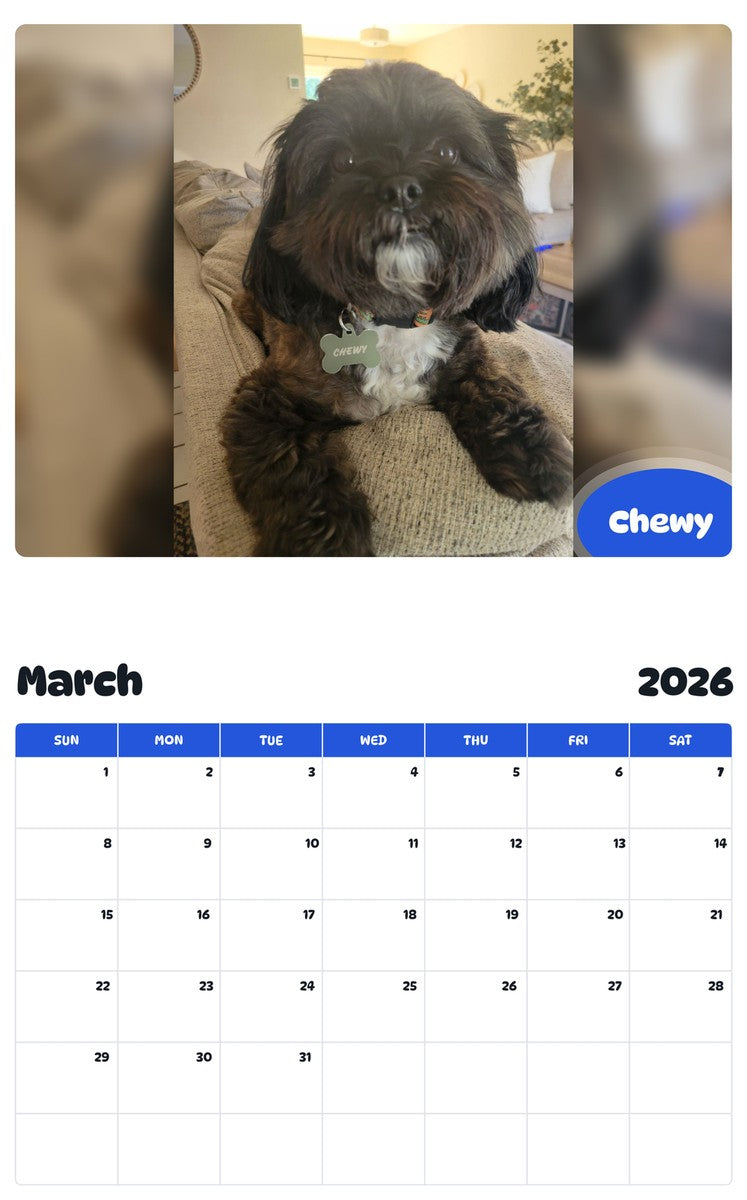 November 2025 - October 2026 Chewy - Pawidols Pet Calendar
