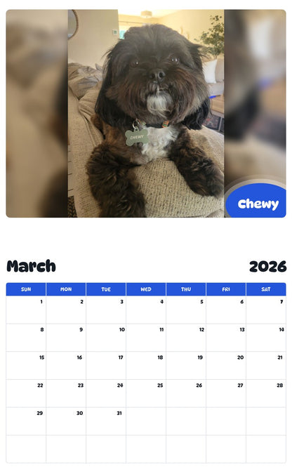 November 2025 - October 2026 Chewy - Pawidols Pet Calendar