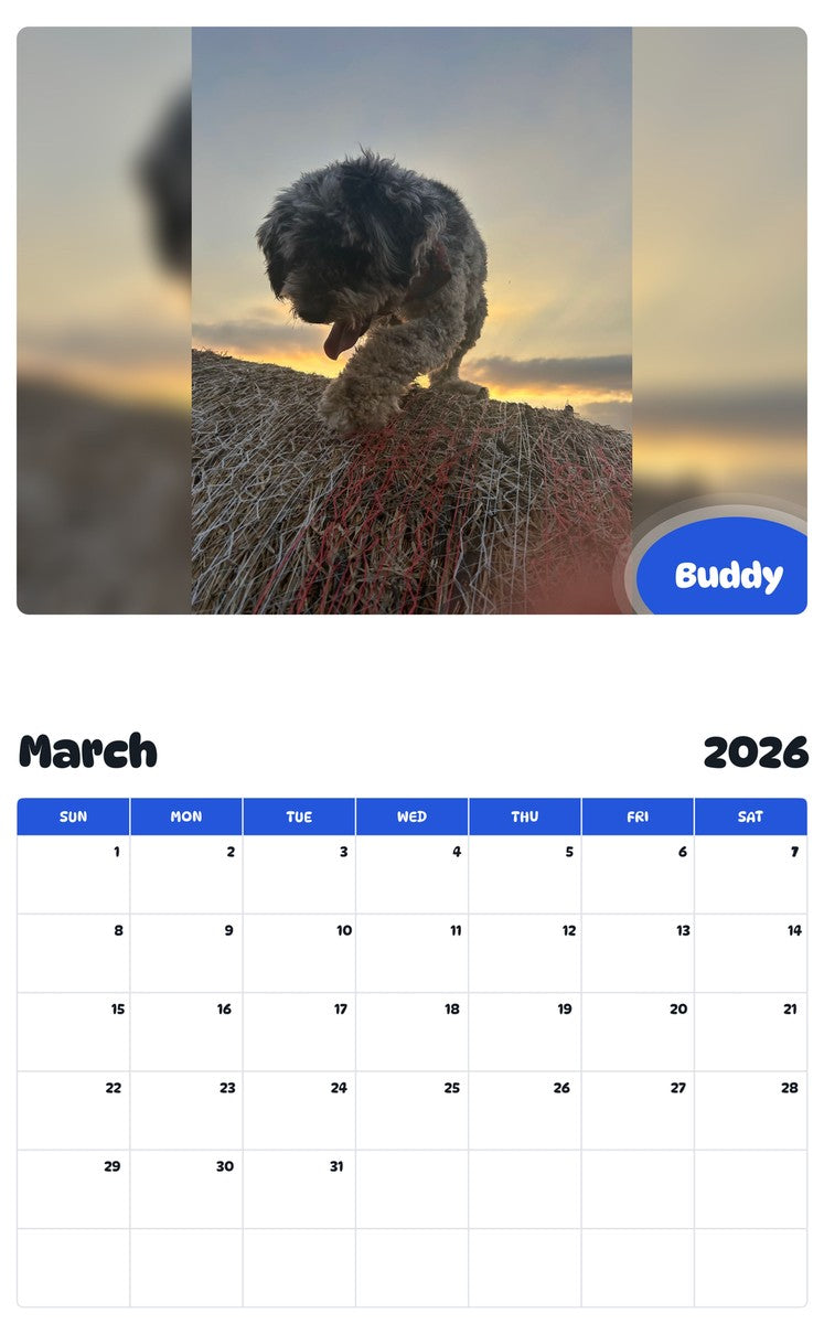 November 2025 - October 2026 Buddy - Pawidols Pet Calendar