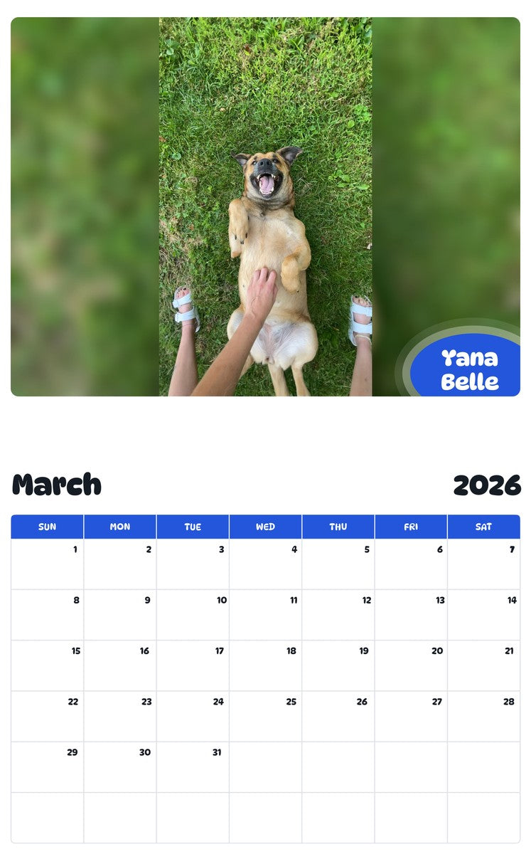 November 2025 - October 2026 Yana Belle - Pawidols Pet Calendar