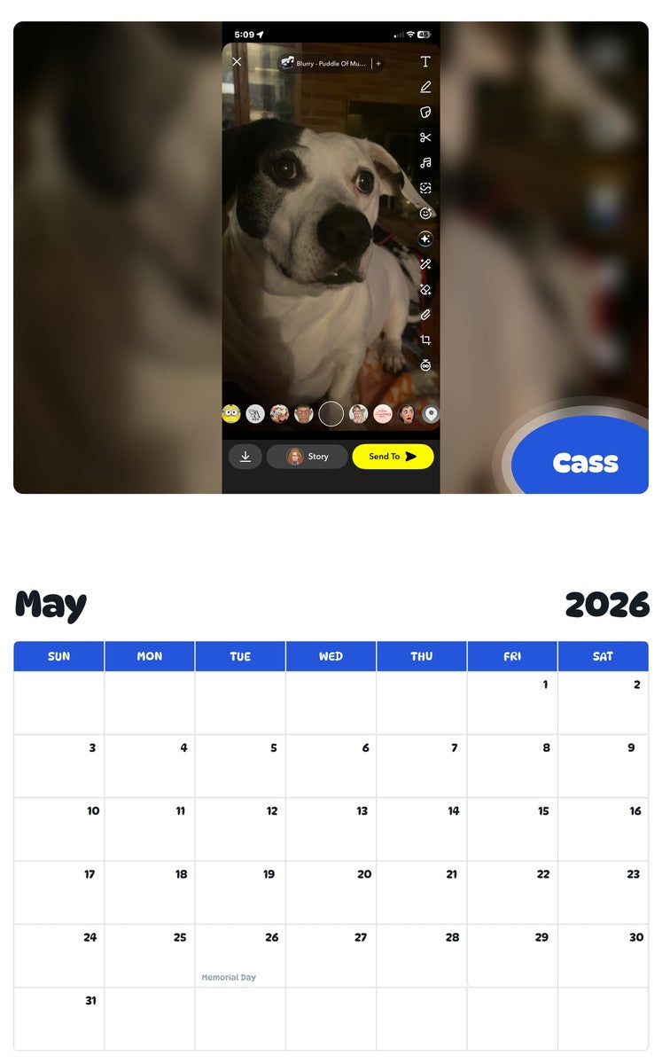 2026 - 2027 Cass - Pawidols Pet Calendar