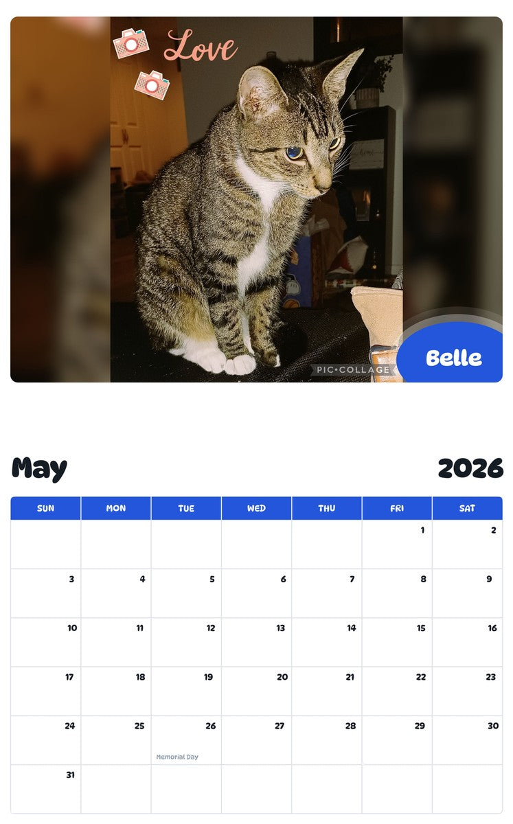 2026 - 2027 Belle - Pawidols Pet Calendar