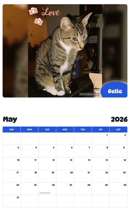 2026 - 2027 Belle - Pawidols Pet Calendar