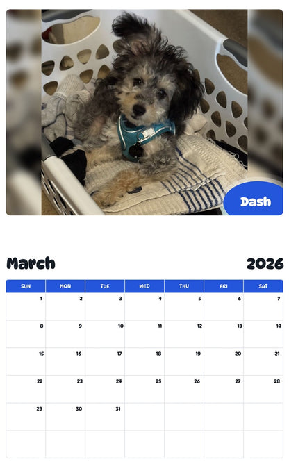 November 2025 - October 2026 Dash - Pawidols Pet Calendar