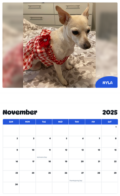 July 2025 - June 2026 Nyla - Pawidols Pet Calendar