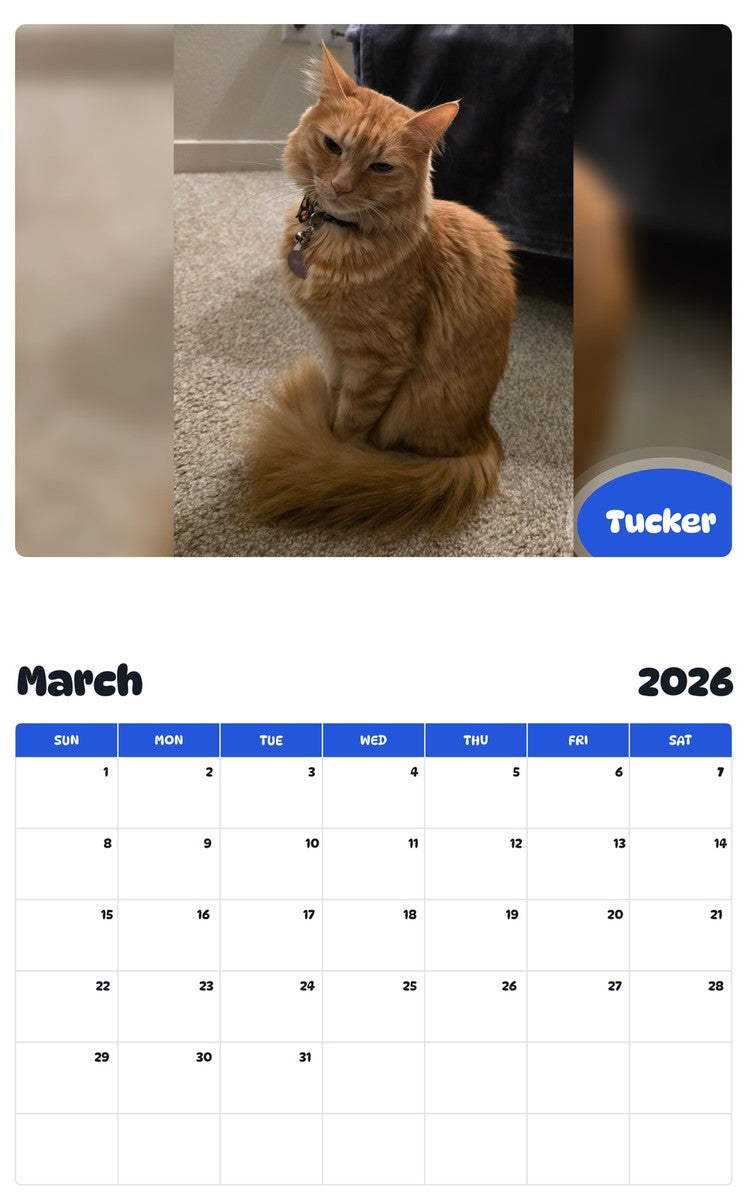 November 2025 - October 2026 Tucker - Pawidols Pet Calendar