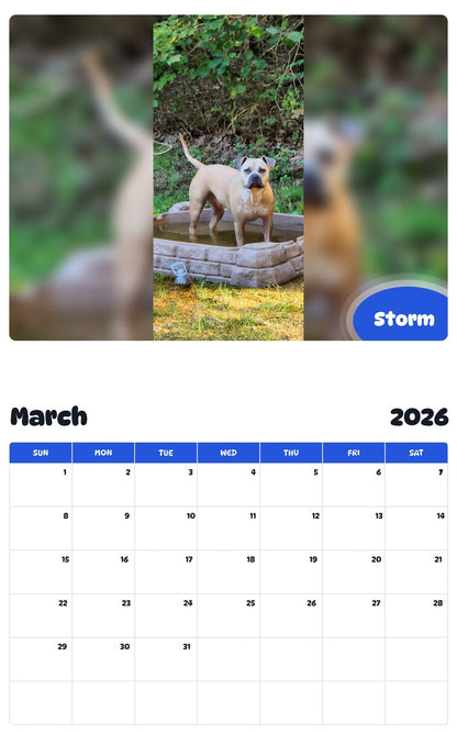 November 2025 - October 2026 Storm - Pawidols Pet Calendar