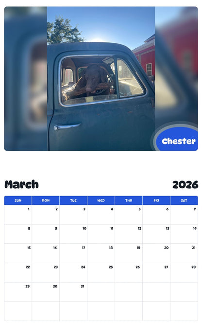 November 2025 - October 2026 Chester - Pawidols Pet Calendar