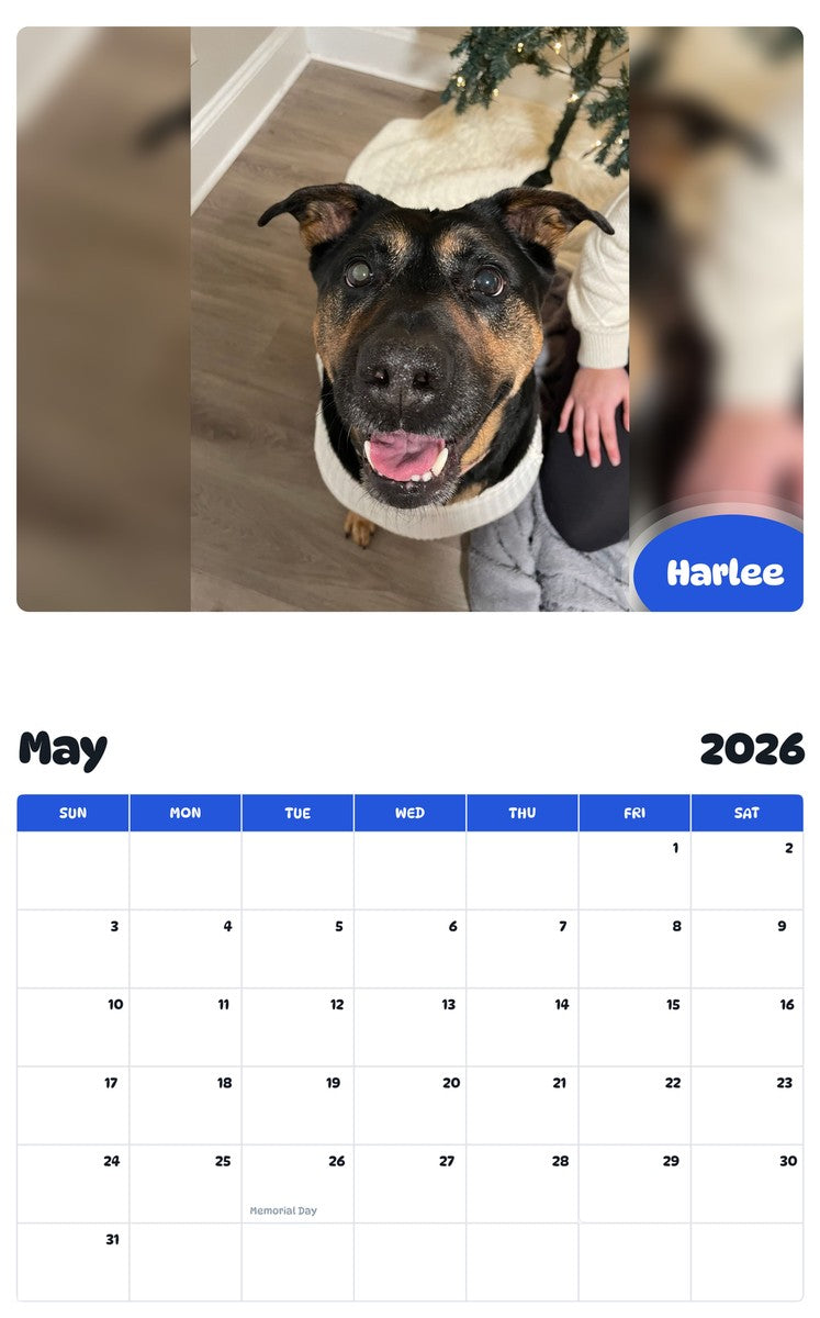2026 - 2027 Harlee - Pawidols Pet Calendar