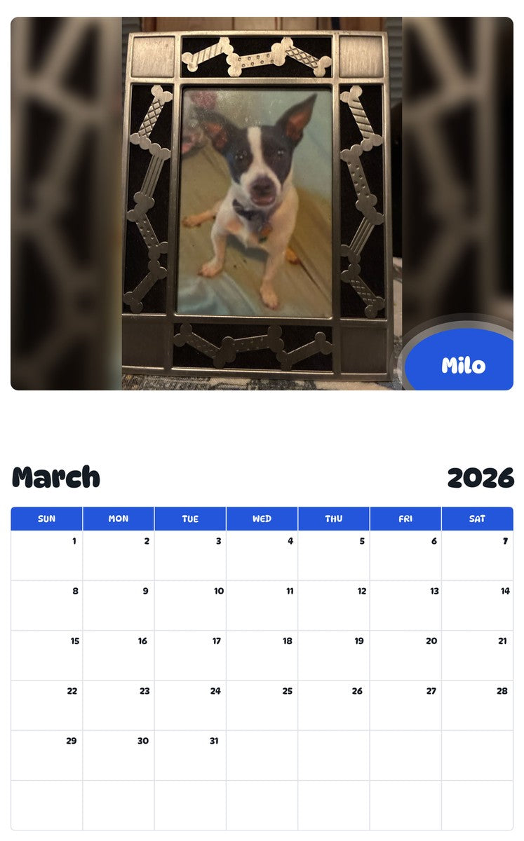 November 2025 - October 2026 Milo - Pawidols Pet Calendar