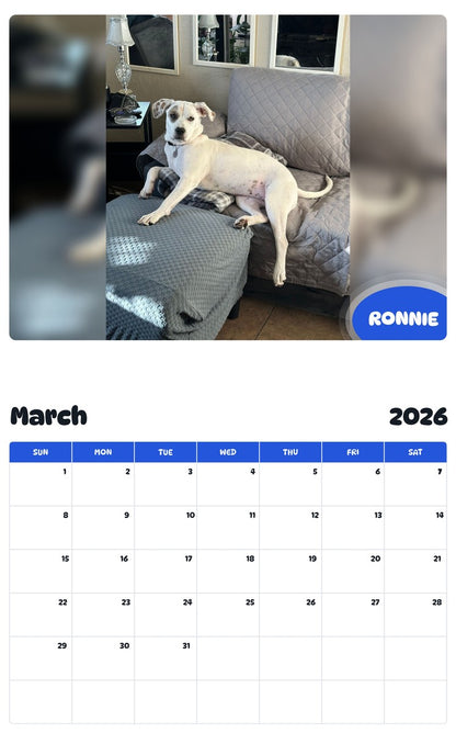 November 2025 - October 2026 RONNIE - Pawidols Pet Calendar