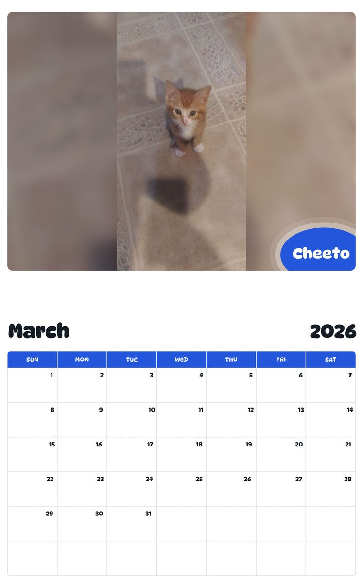 November 2025 - October 2026 Cheeto - Pawidols Pet Calendar