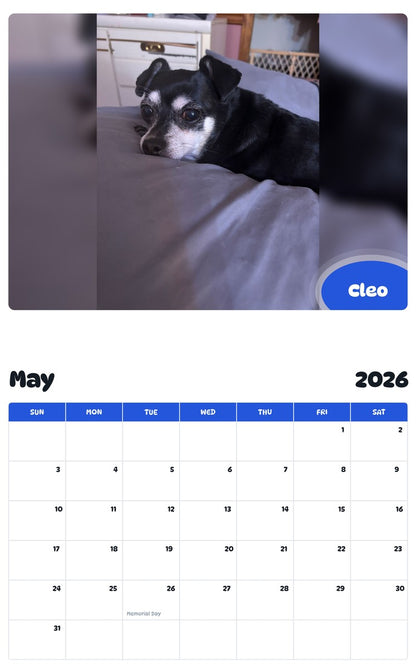 2026 - 2027 Cleo - Pawidols Pet Calendar