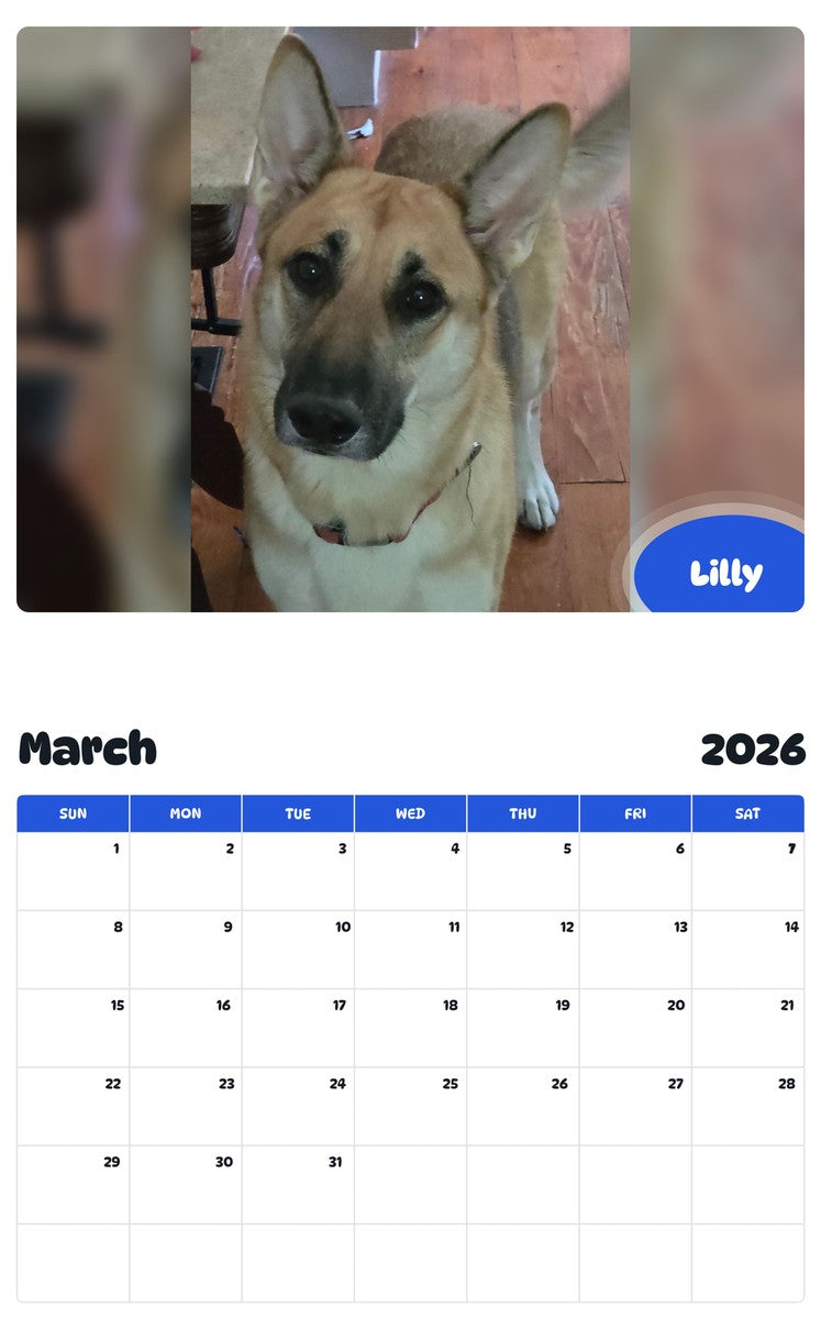 November 2025 - October 2026 Lilly - Pawidols Pet Calendar