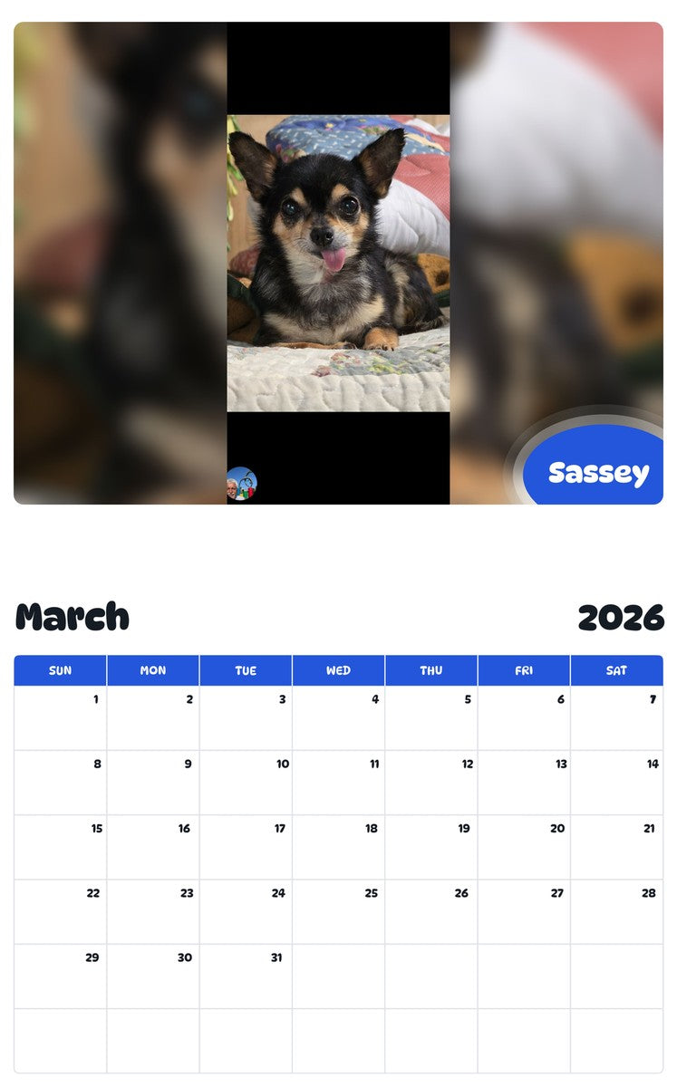 November 2025 - October 2026 Sassey - Pawidols Pet Calendar
