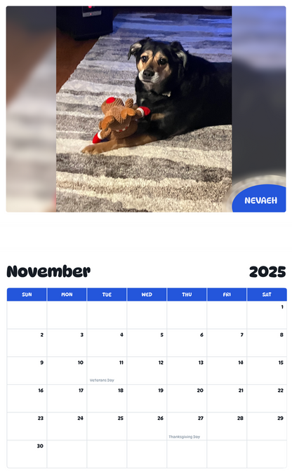 July 2025 - June 2026 Nevaeh - Pawidols Pet Calendar
