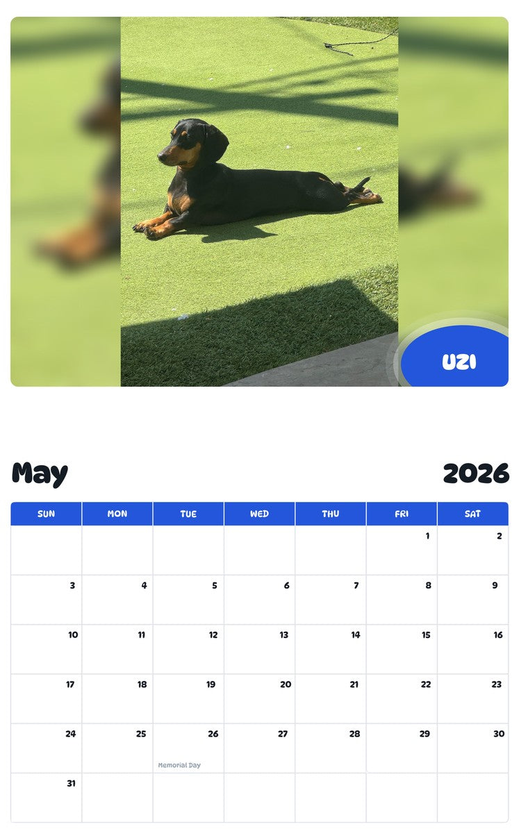 2026 - 2027 UZI - Pawidols Pet Calendar