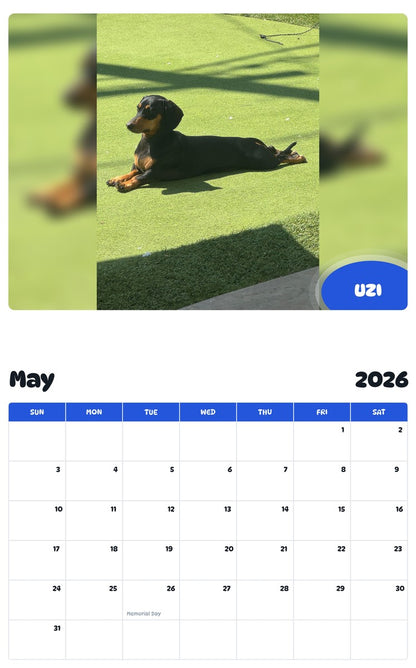 2026 - 2027 UZI - Pawidols Pet Calendar