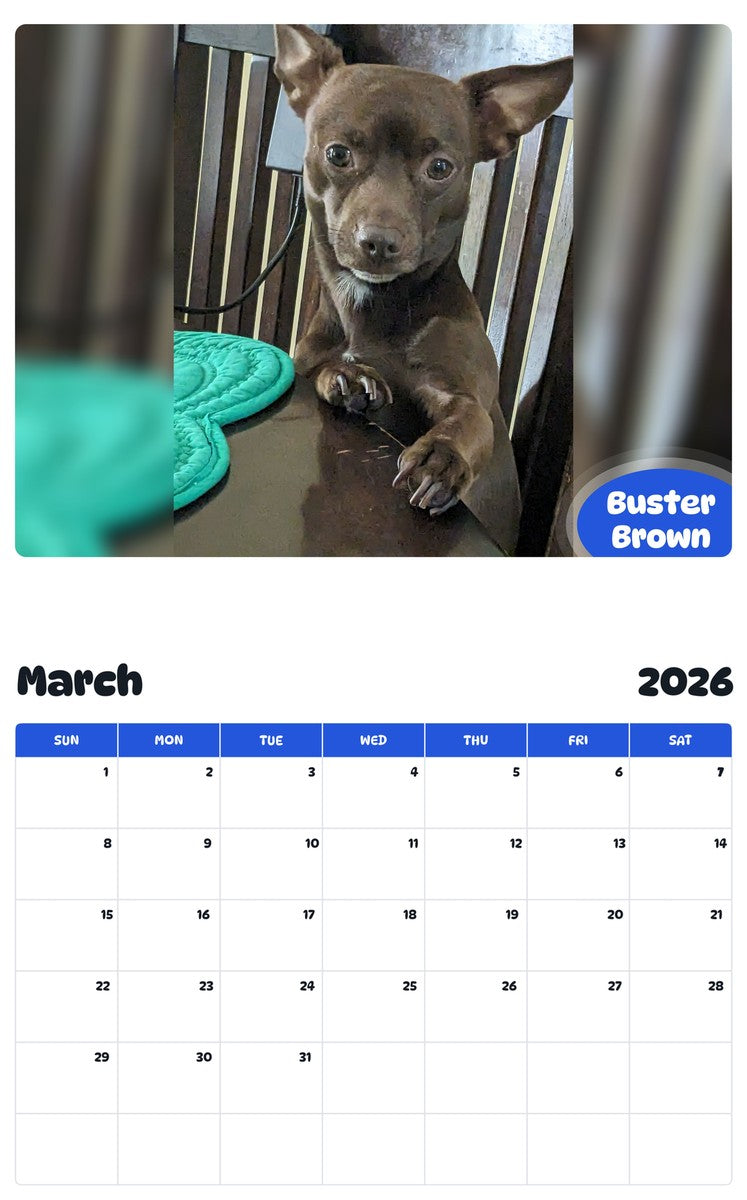 November 2025 - October 2026 Buster Brown - Pawidols Pet Calendar