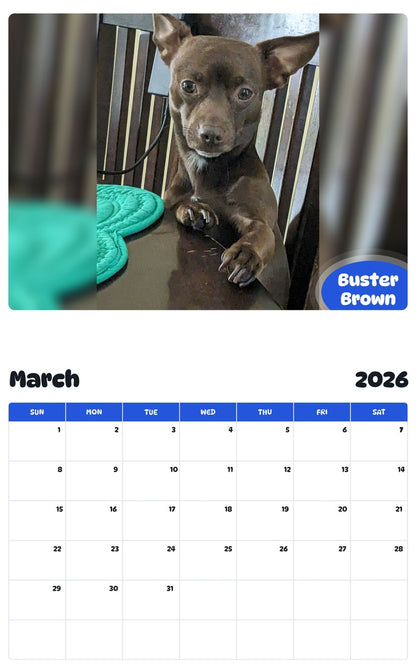 November 2025 - October 2026 Buster Brown - Pawidols Pet Calendar