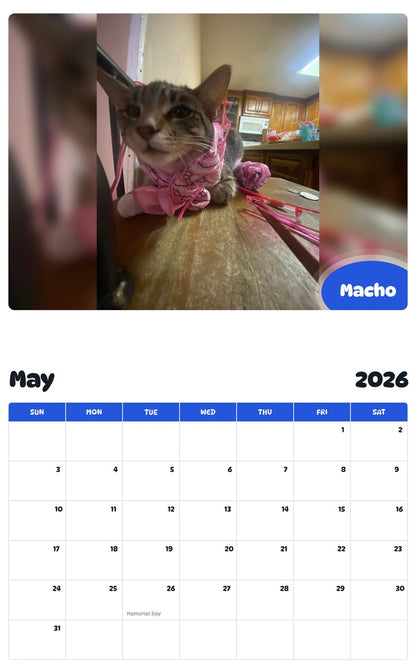 2026 - 2027 Macho - Pawidols Pet Calendar