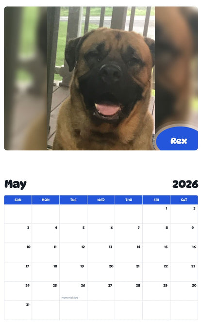 2026 - 2027 Rex - Pawidols Pet Calendar