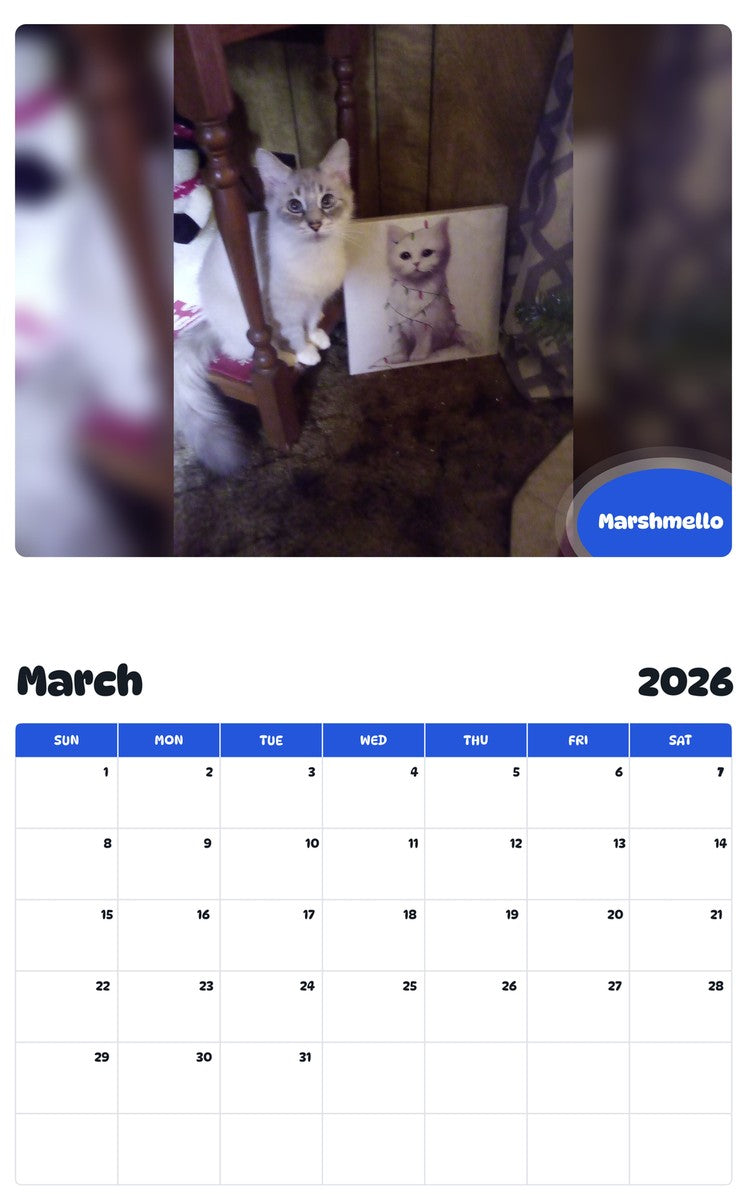 November 2025 - October 2026 Marshmello - Pawidols Pet Calendar