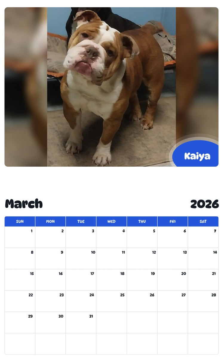 November 2025 - October 2026 Kaiya - Pawidols Pet Calendar