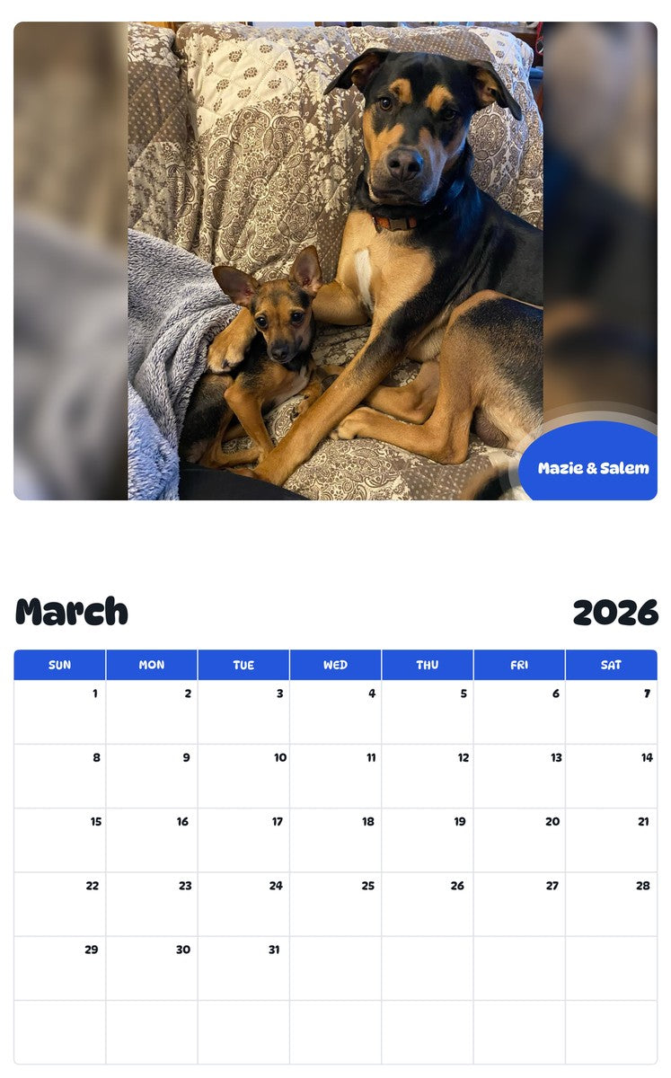 November 2025 - October 2026 Mazie & Salem - Pawidols Pet Calendar