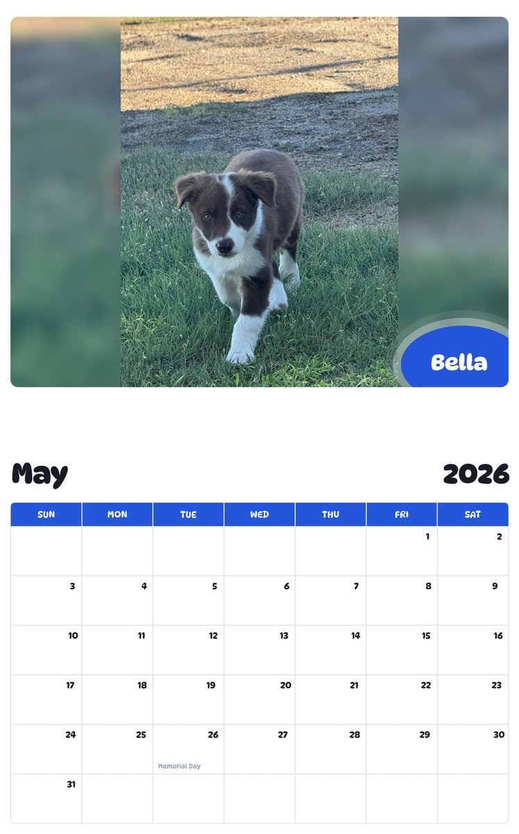 2026 - 2027 Bella - Pawidols Pet Calendar