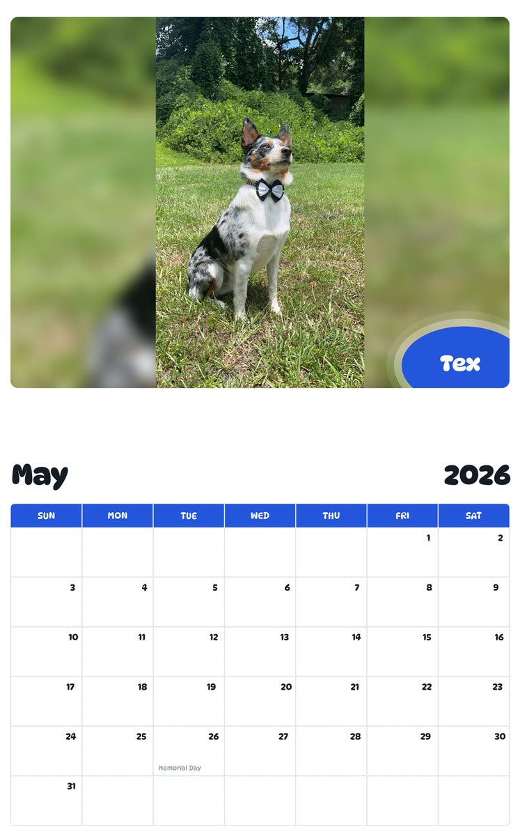 2026 - 2027 Tex - Pawidols Pet Calendar