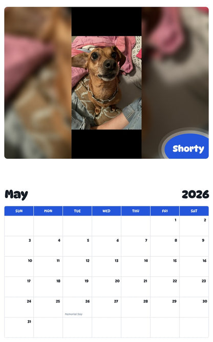 2026 - 2027 Shorty - Pawidols Pet Calendar