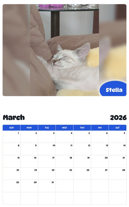 November 2025 - October 2026 Stella - Pawidols Pet Calendar