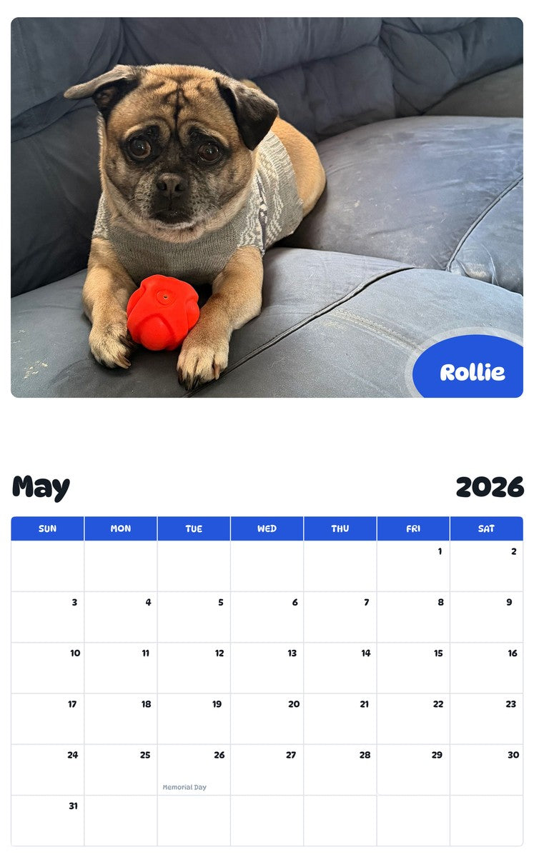2026 - 2027 Rollie - Pawidols Pet Calendar