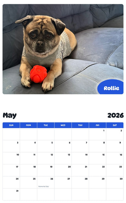 2026 - 2027 Rollie - Pawidols Pet Calendar