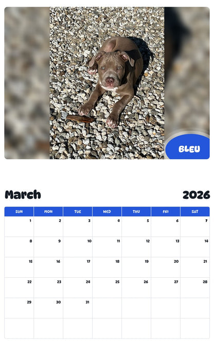 November 2025 - October 2026 BLEU - Pawidols Pet Calendar