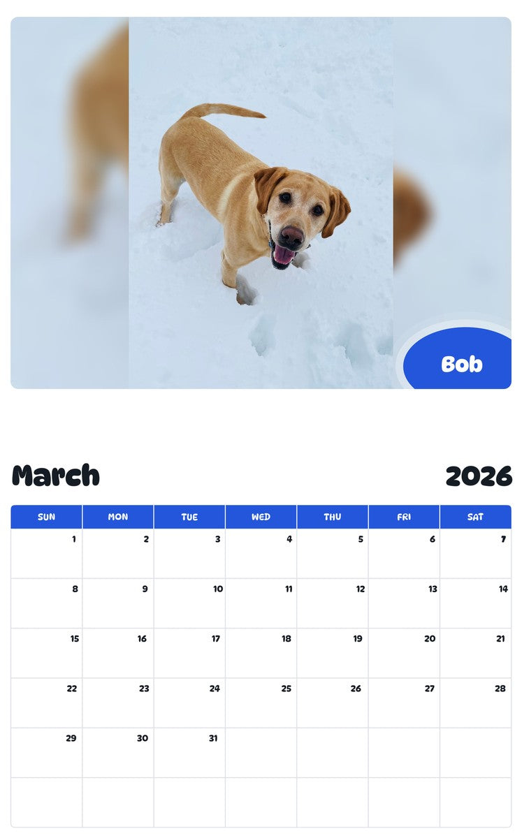 November 2025 - October 2026 Bob - Pawidols Pet Calendar