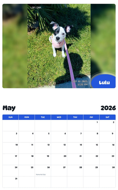 2026 - 2027 Lulu - Pawidols Pet Calendar