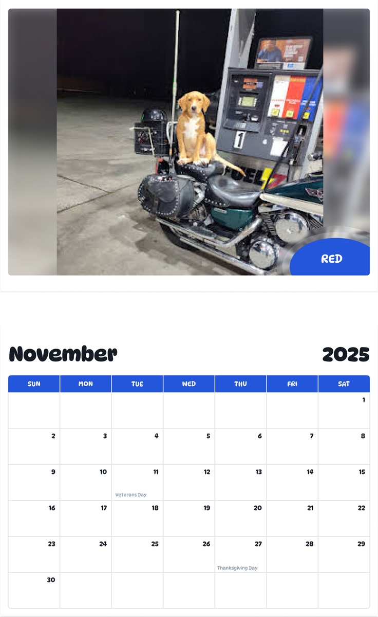 July 2025 - June 2026 RED - Pawidols Pet Calendar