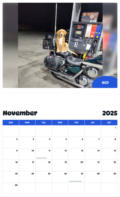 July 2025 - June 2026 RED - Pawidols Pet Calendar