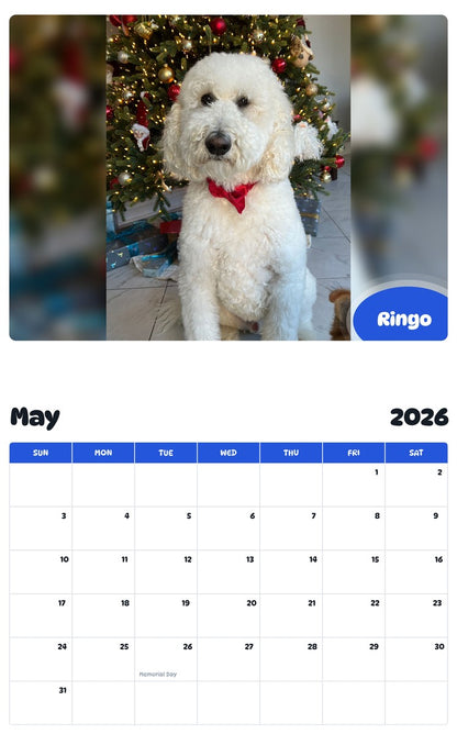 2026 - 2027 Ringo - Pawidols Pet Calendar
