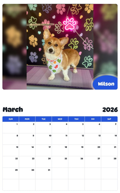 November 2025 - October 2026 Wilson - Pawidols Pet Calendar