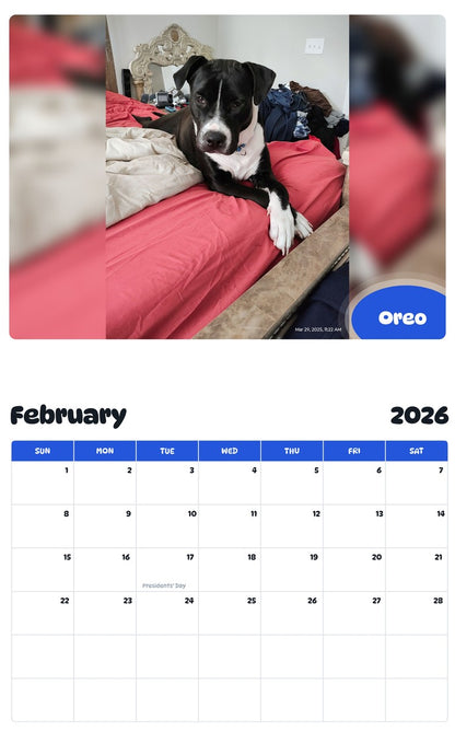 October 2025 - September 2026 Oreo - Pawidols Pet Calendar