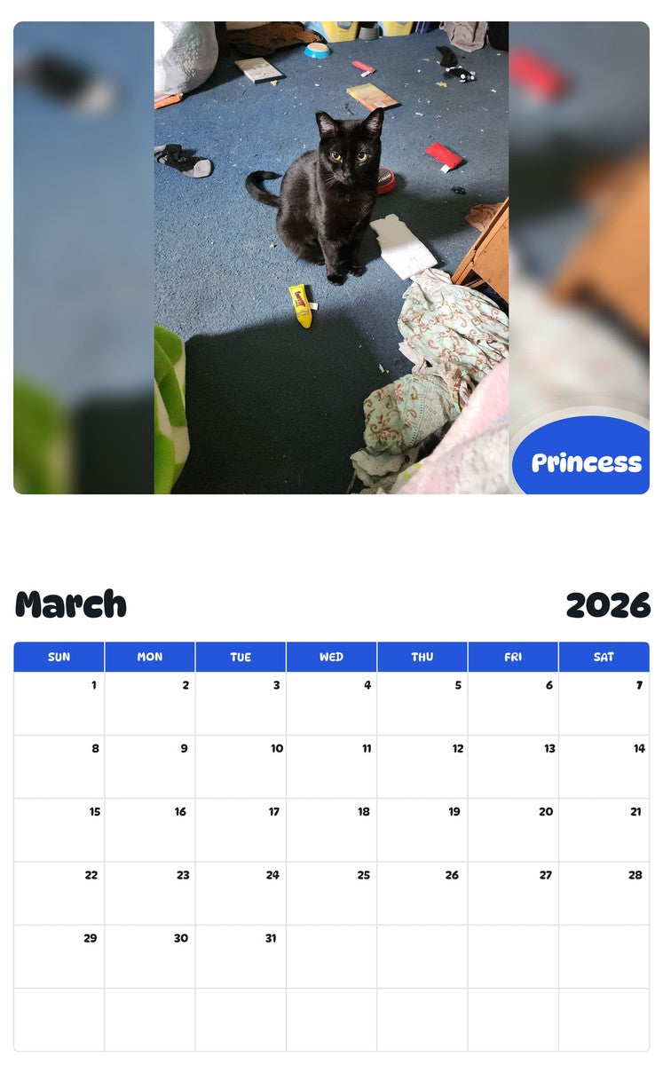 November 2025 - October 2026 Princess - Pawidols Pet Calendar