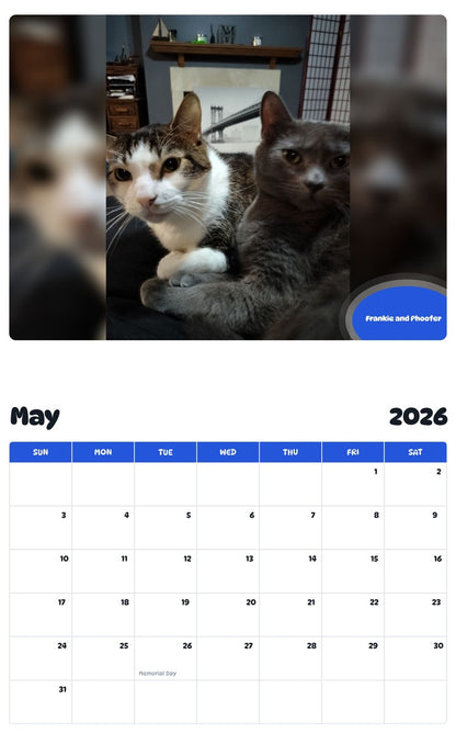 2026 - 2027 Frankie and Phoofer - Pawidols Pet Calendar