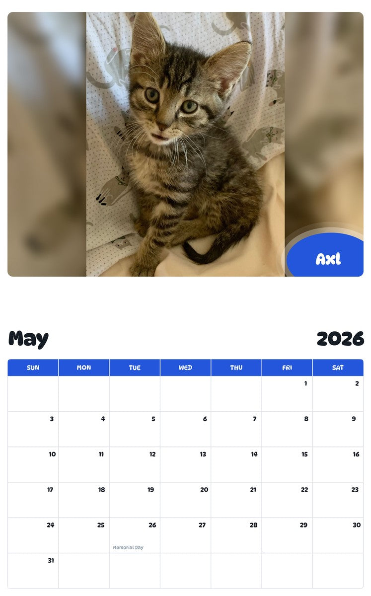 2026 - 2027 Axl - Pawidols Pet Calendar