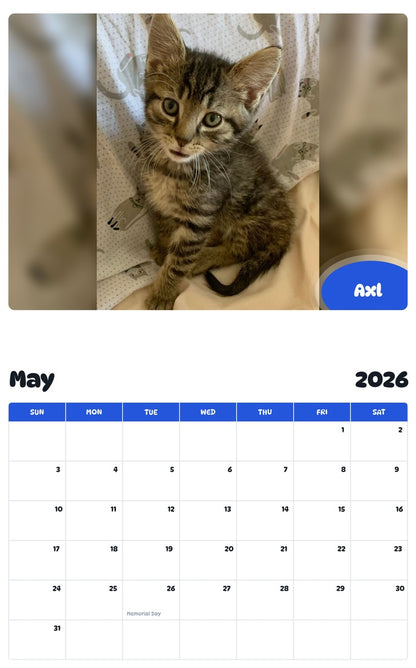 2026 - 2027 Axl - Pawidols Pet Calendar